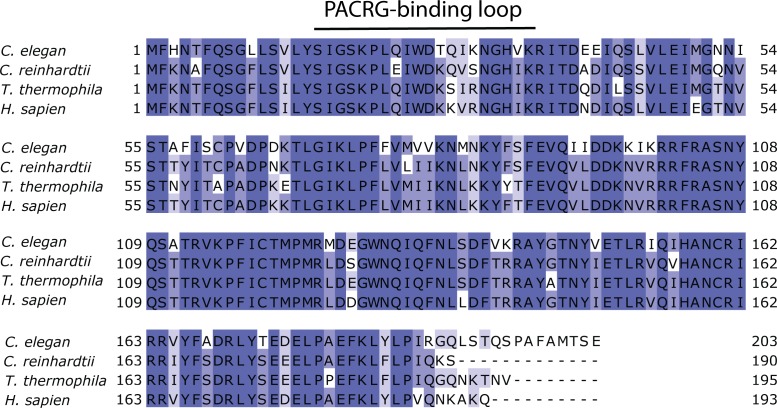 Figure 3—figure supplement 1.