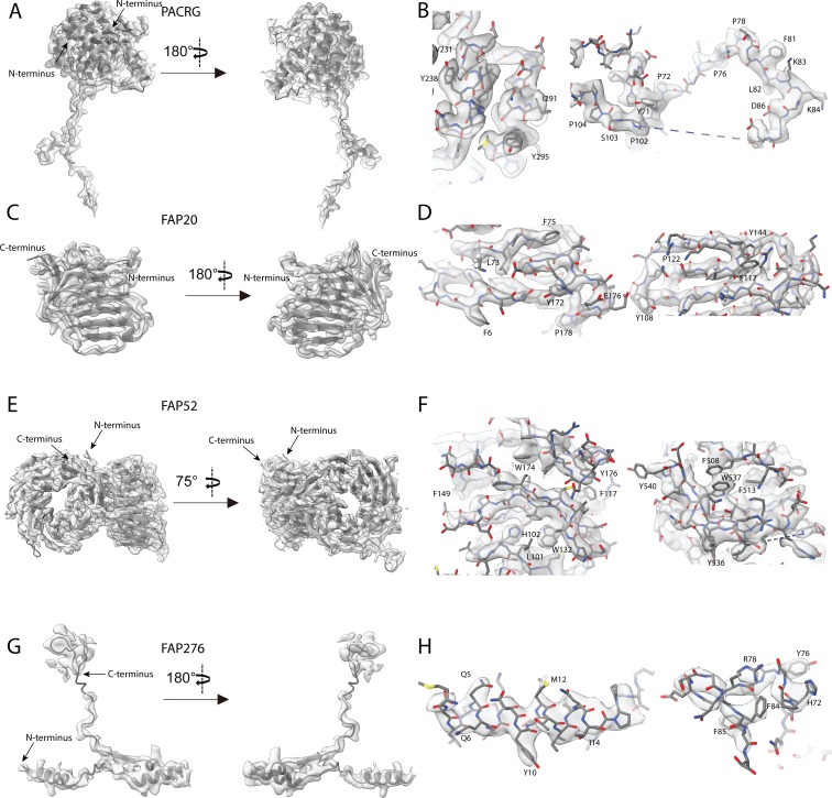 Figure 2—figure supplement 1.