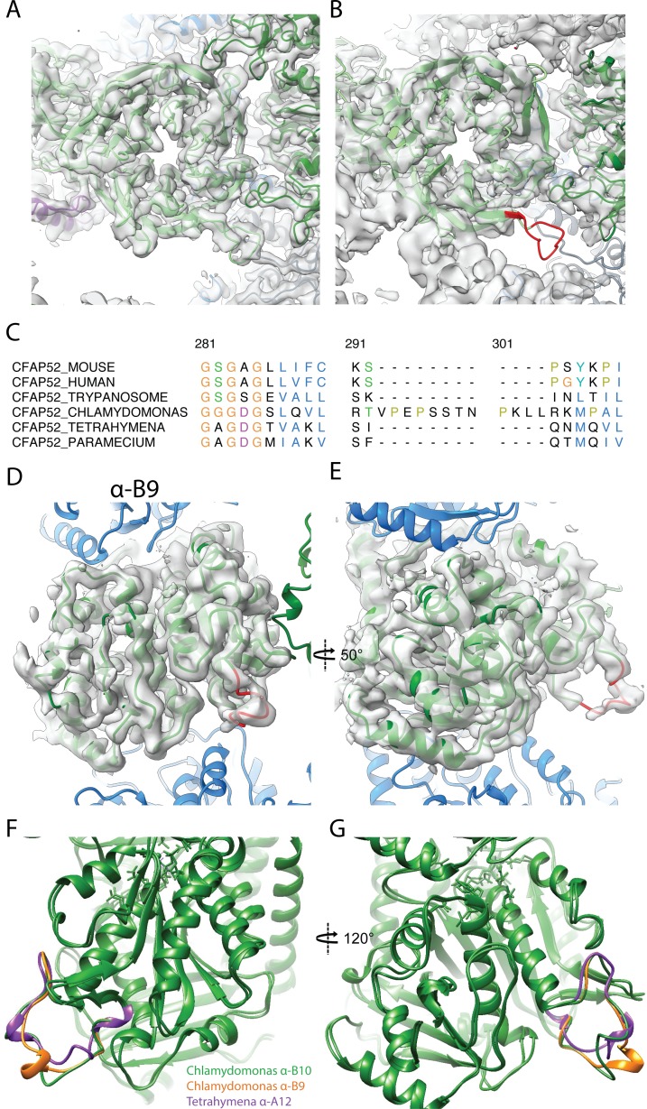 Figure 4—figure supplement 1.