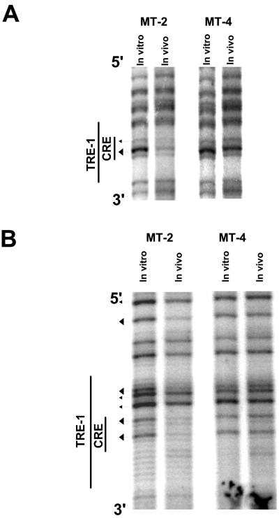 FIG. 5