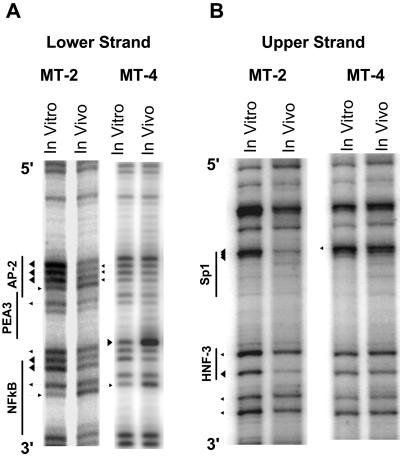 FIG. 7