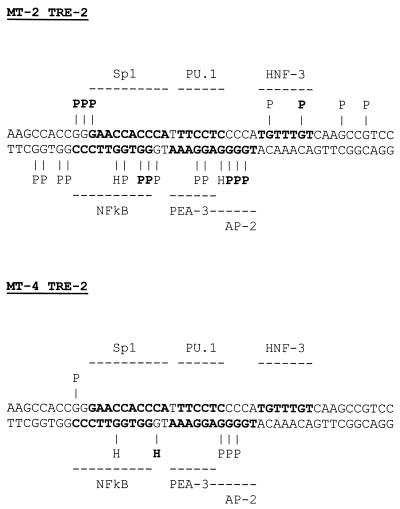 FIG. 8