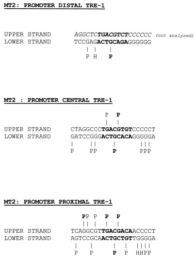 FIG. 6