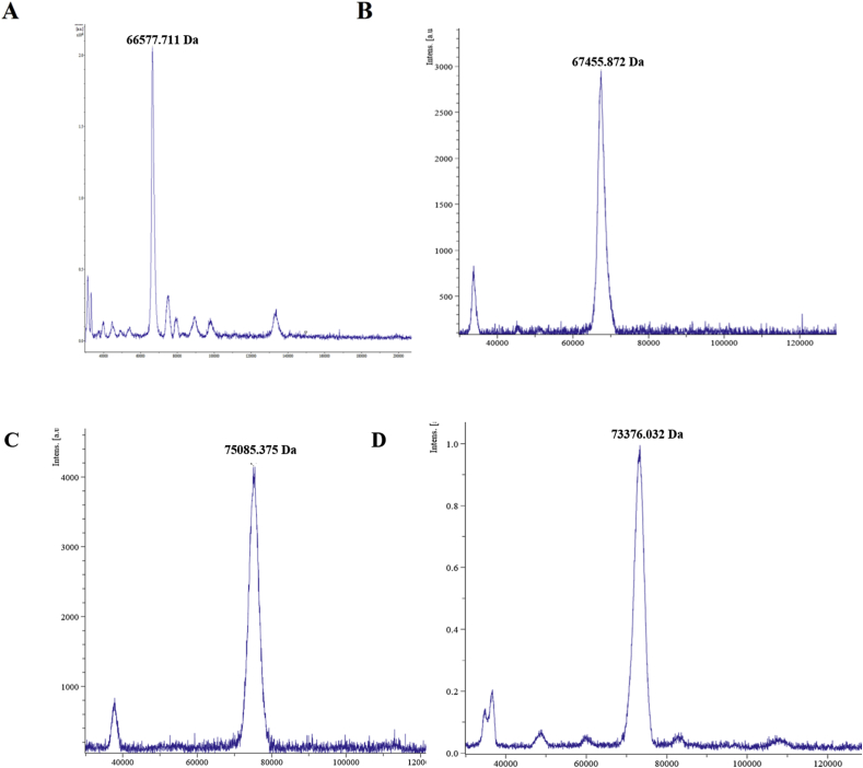 Figure 2