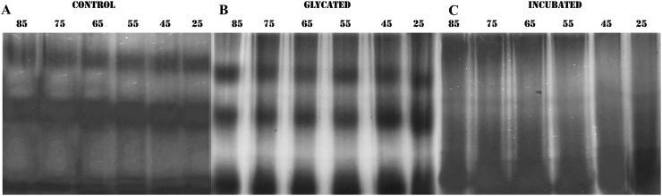 Figure 6