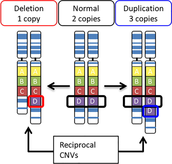 FIGURE 1