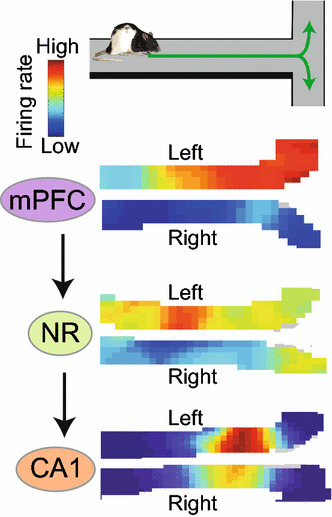 Fig. 4