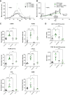 Figure 4. Brentuximab vedotin treatment of humanized mice bearing LCL tumors enhances intratumoral immune activation. NSG mice (n = 5) harboring CD30+ LCL tumors were injected intravenously with autologous donor PBMCs 5 days after tumor implantation. A, Tumor volume was measured over time in NSG mice (n = 5 per group) receiving no PBMCs and 2.5, 5, and 10 million PBMCs. B, Mice were treated with BV, cAC10, or a non-binding control (human IgG-MMAE) 3 days before receiving a total of 2.0 × 106 PBMCs (n = 10 per group). Tumors were collected for analysis of immune activity 4 and 11 days after transfer of PBMCs (n = 5 per time-point). C, Immune-related transcripts (NanoString) were measured 4 days following PBMC transfer in NSG mice treated with BV, cAC10, or a non-binding control (IgG-MMAE) 3 days before PBMC transfer. D, Tumors taken 11 days after PBMC transfer in NSG mice treated with BV or a non-binding control (IgG-MMAE) 3 days before PBMC transfer were processed and evaluated by flow cytometry for immune cell infiltration. Each symbol represents NanoString analysis or flow cytometry of immune cells from individual mice (n = 4–7 per group). *P < 0.05; **P < 0.01; ***P < 0.001; ****P < 0.0001 (one-way ANOVA followed by Dunnett's multiple comparisons test) compared with BV treatment. Bars represent the mean and SE. ANOVA, analysis of variance; BV, brentuximab vedotin; cAC10, chimeric anti-CD30 antibody; CXCL9, C-X-C motif chemokine ligand 9; GZMB, granzyme B; IFNγ, interferon gamma; hIgG, human immunoglobulin G; IgG, immunoglobin G; ITGAM, integrin alpha M; LAMP3, lysosomal-associated membrane glycoprotein 3; LCL, lymphoblastoid cell line; MMAE, monomethyl auristatin E; NK, natural killer, NLRP3, nucleotide-binding domain, leucine-rich–containing family pyrin domain–containing-3; NOD, nonobese diabetic; NSG, NOD SCID gamma; PBMC, peripheral blood mononuclear cells; SCID, severe combined immune deficient; SE, standard error; TIL, tumor-infiltrating lymphocyte; TNF, tumor necrosis factor.
