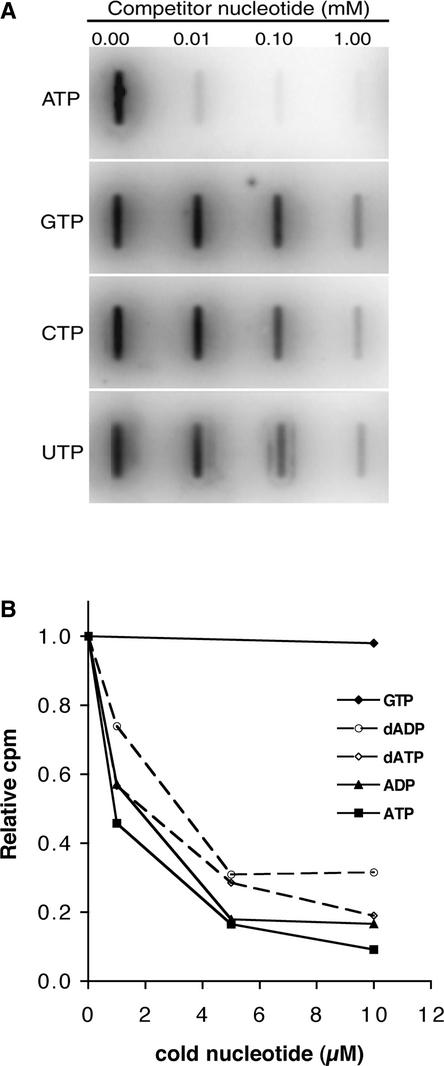 Figure 5.