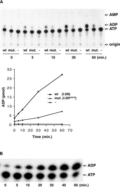 Figure 7.