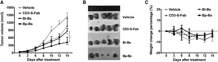 Figure 7