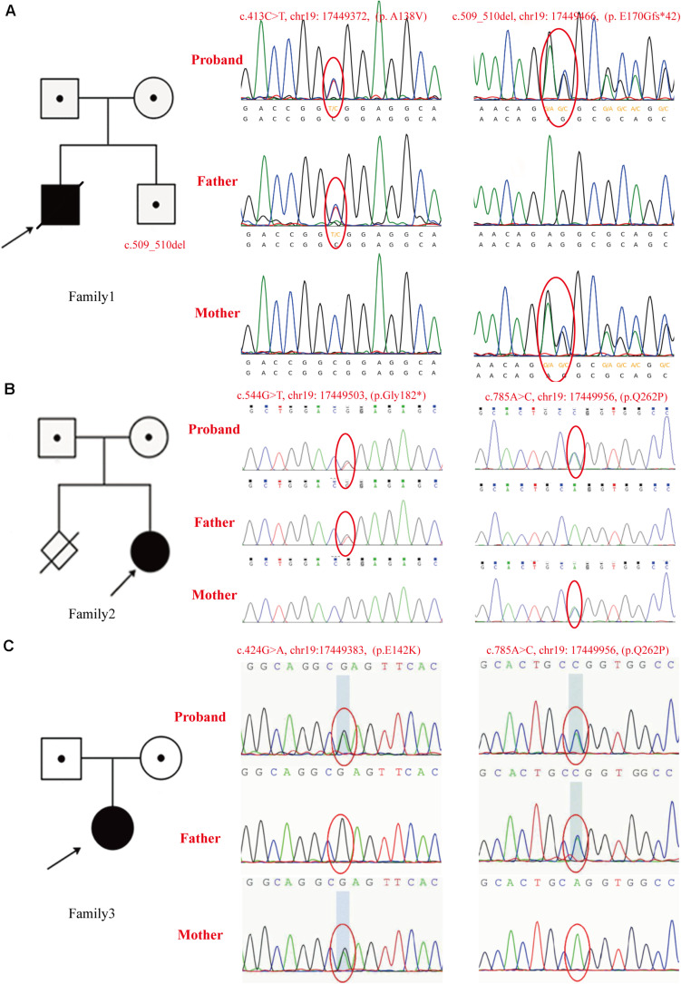 FIGURE 3