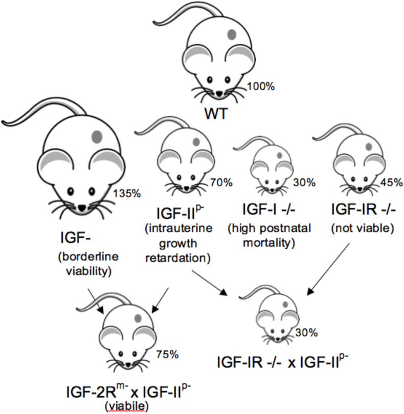 Figure 1