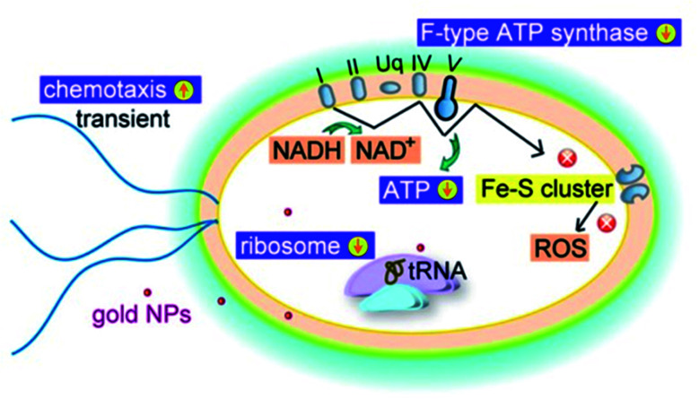 Fig. 2