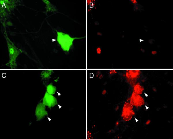 FIG. 9