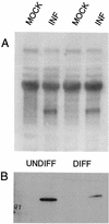 FIG. 7