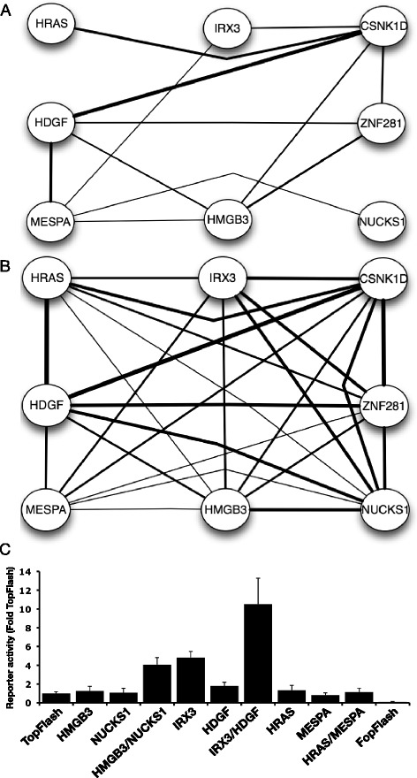 Fig. 6