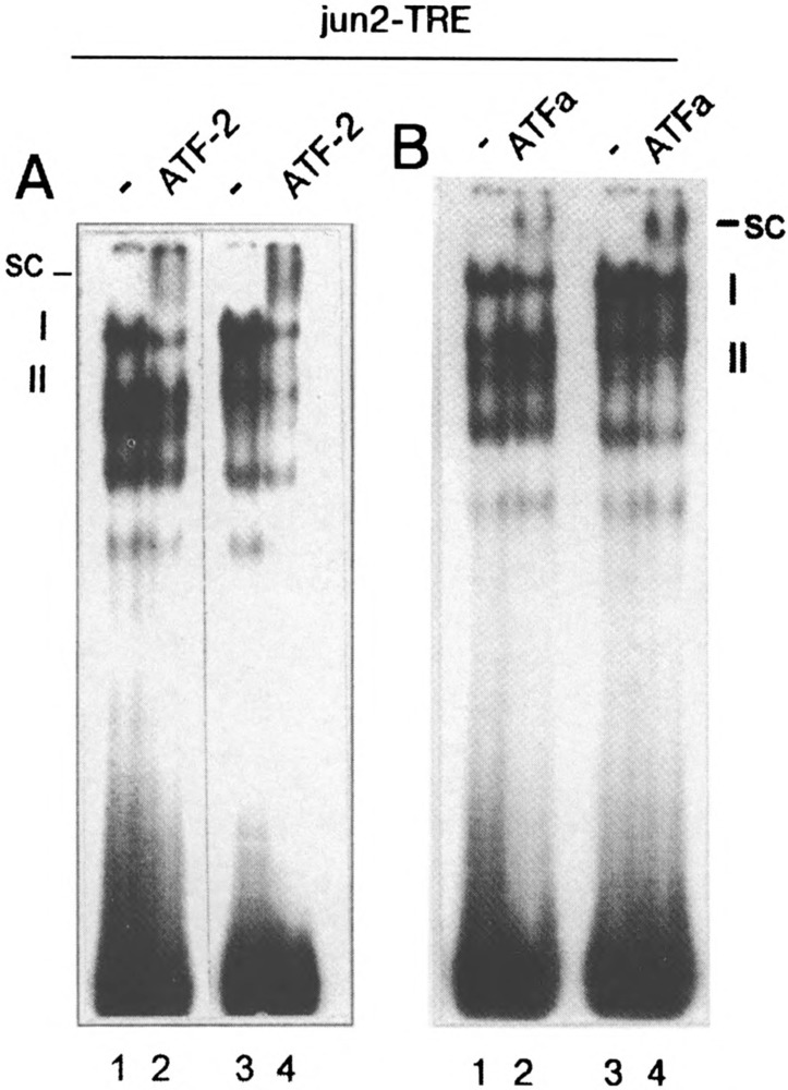 FIG. 7