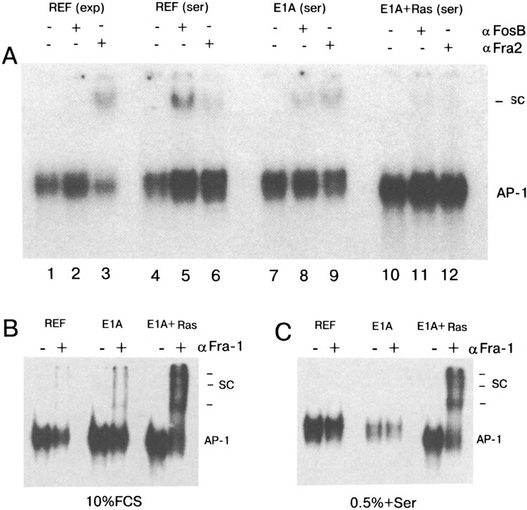 FIG. 6