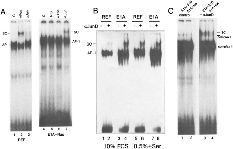 FIG. 5