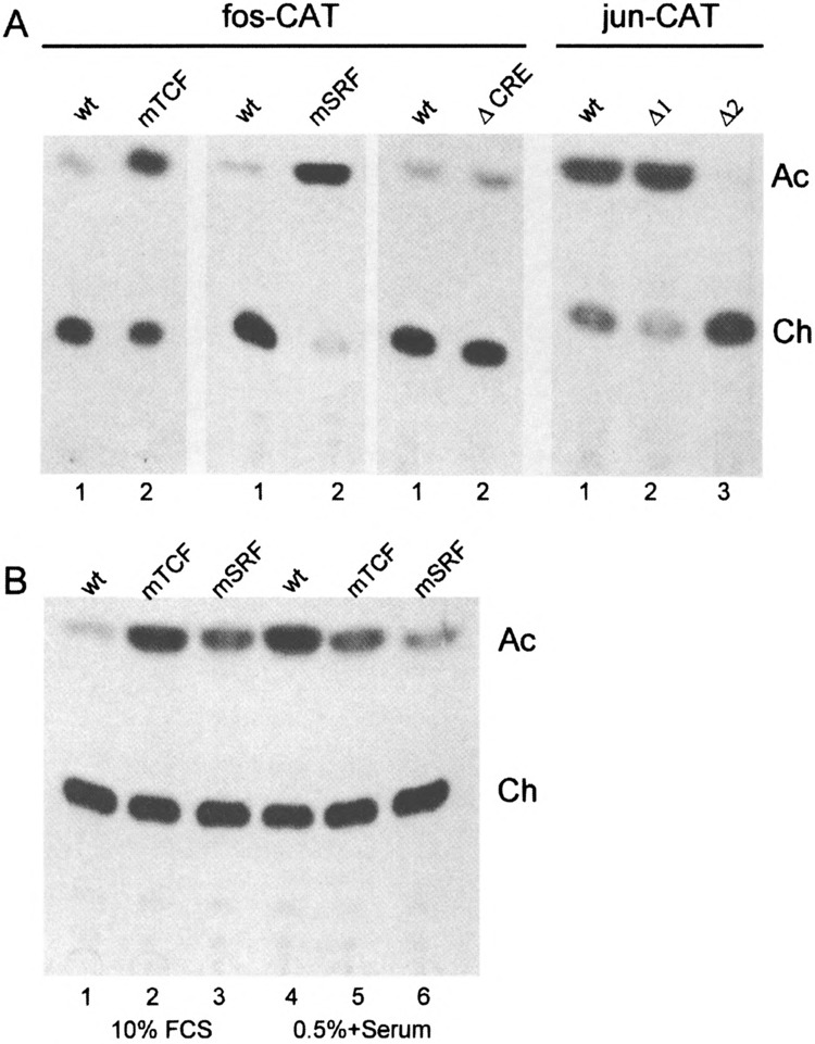 FIG. 8