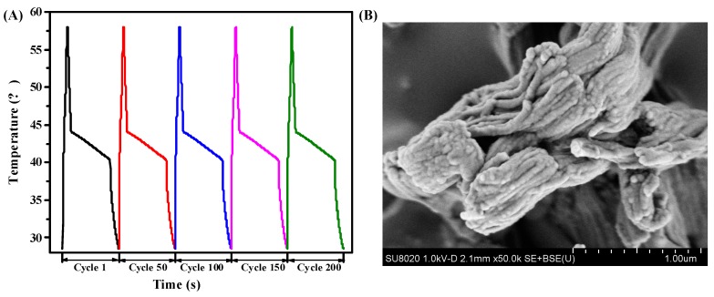 Figure 13