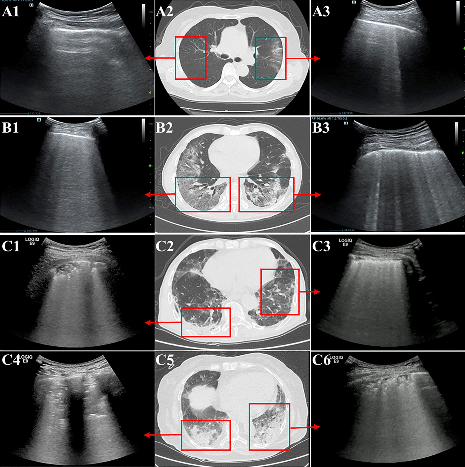 Fig. 1