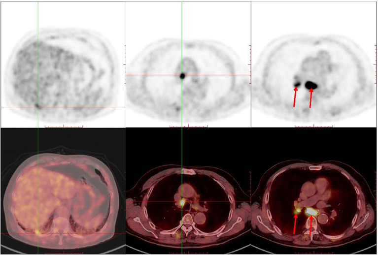 Figure 1