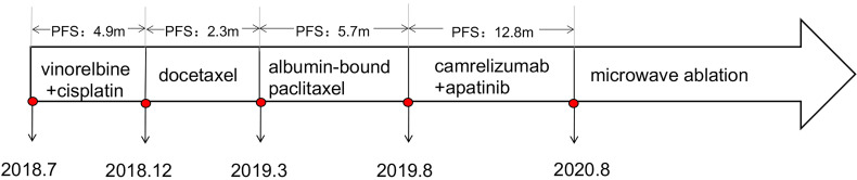 Figure 3