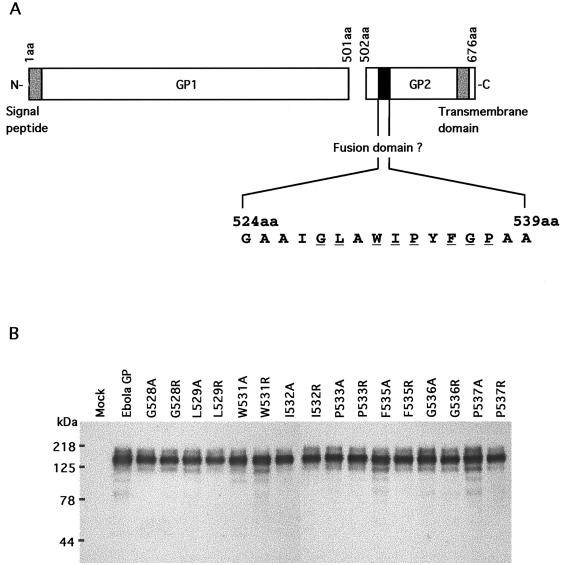 FIG. 1