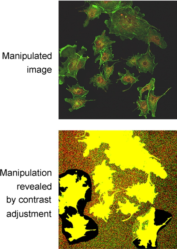 Figure 6.