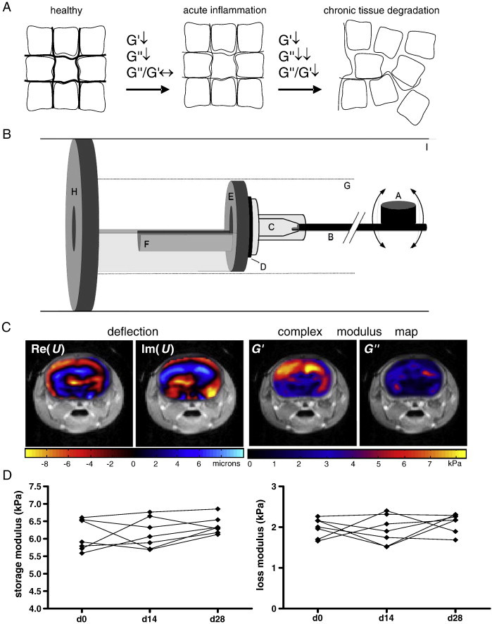 Fig. 1