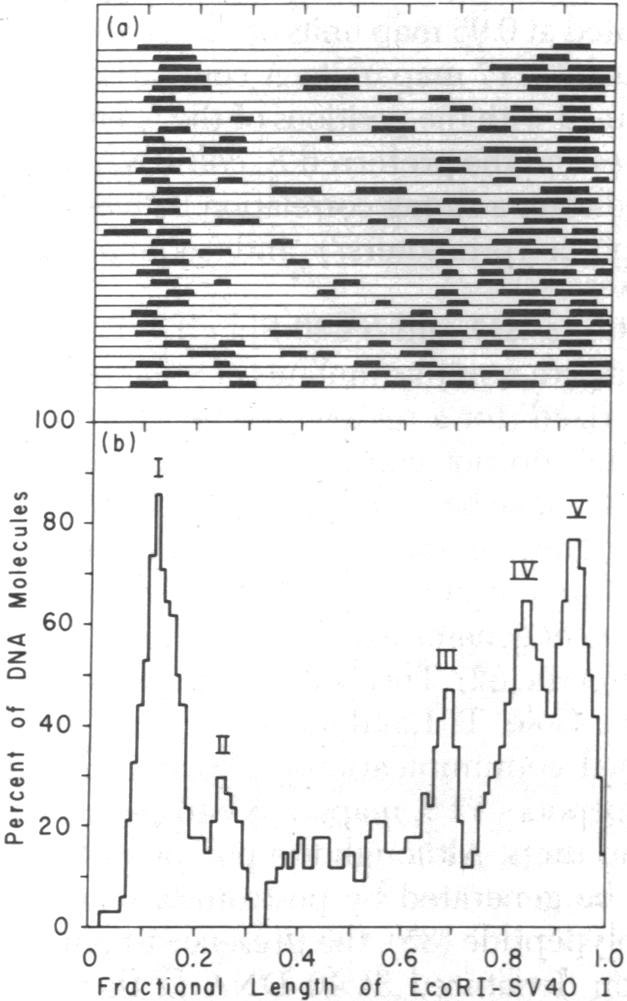 graphic file with name pnas00026-0069-c.jpg