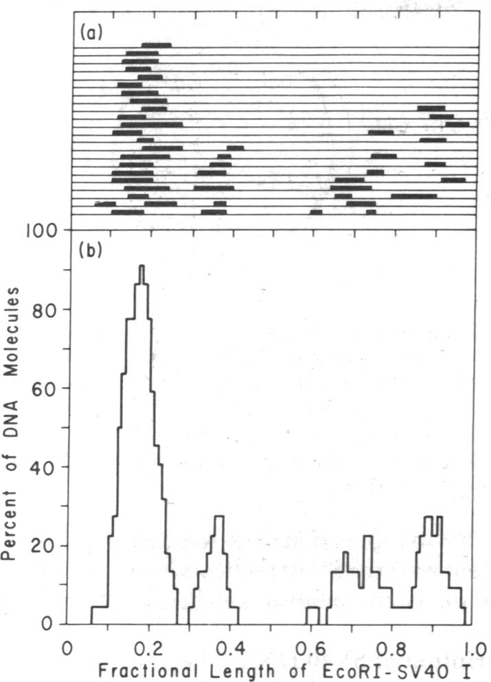 graphic file with name pnas00026-0069-b.jpg