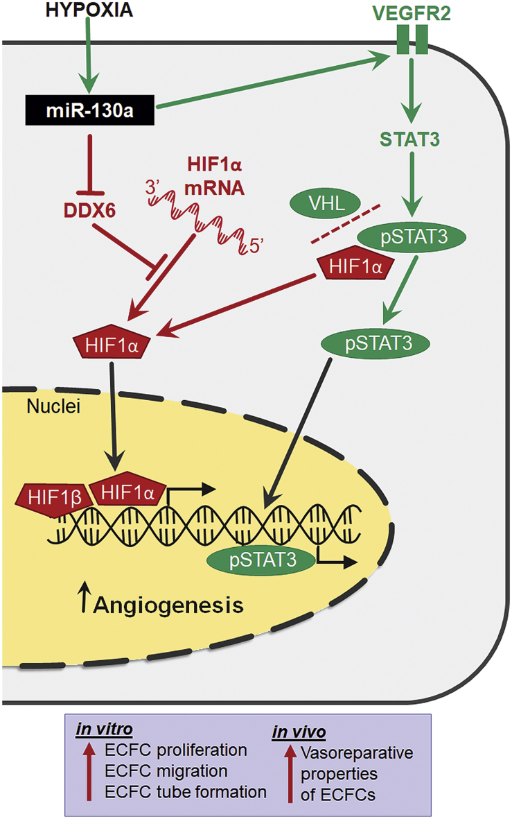 Figure 7