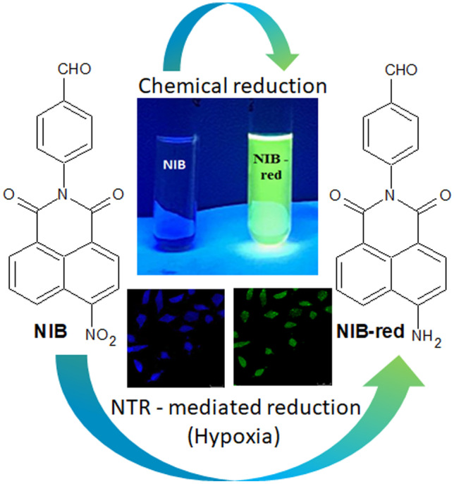 graphic file with name 10895_2021_2800_Figa_HTML.jpg