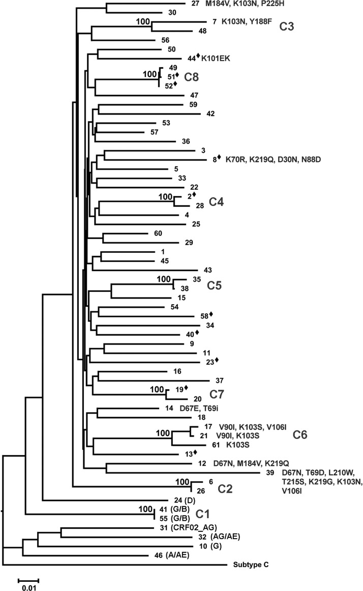 FIG. 1.