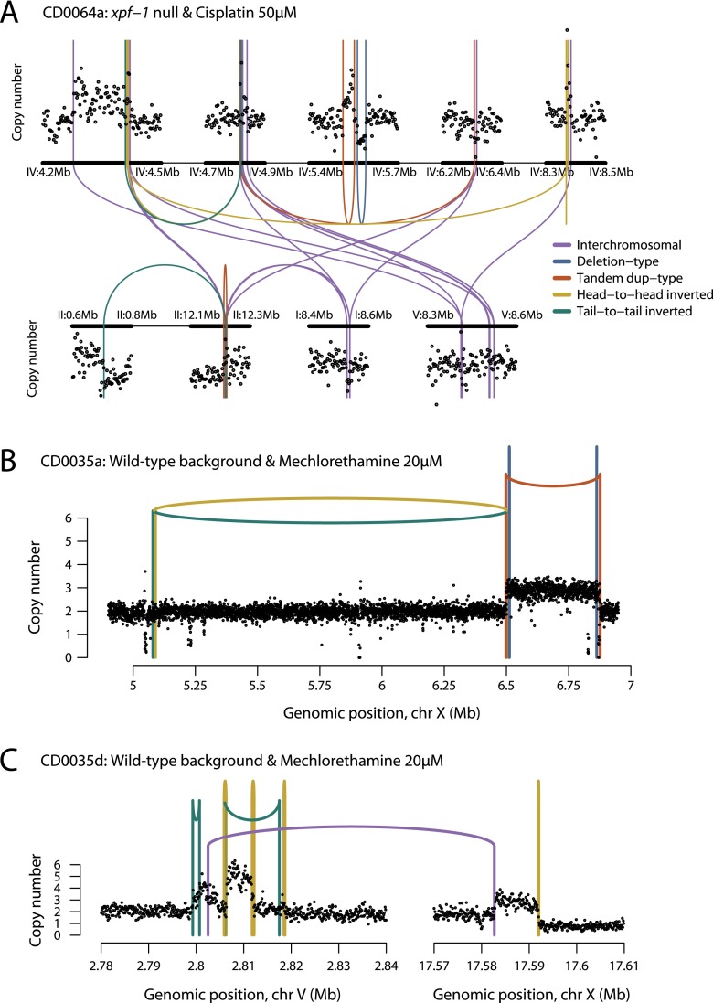 Figure 7.