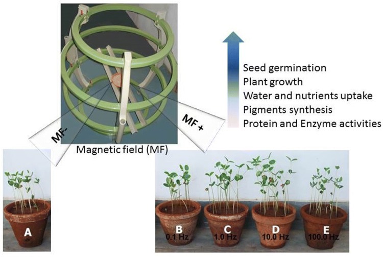 Fig. 1