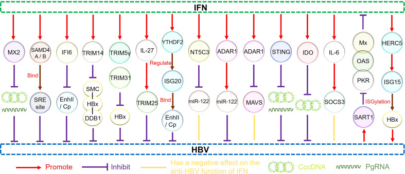 Figure 3