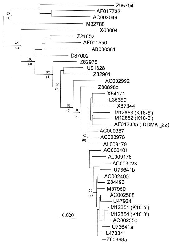 FIG. 1