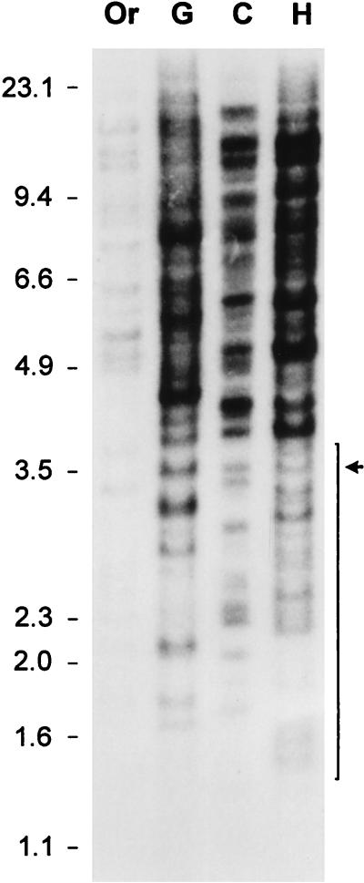 FIG. 3