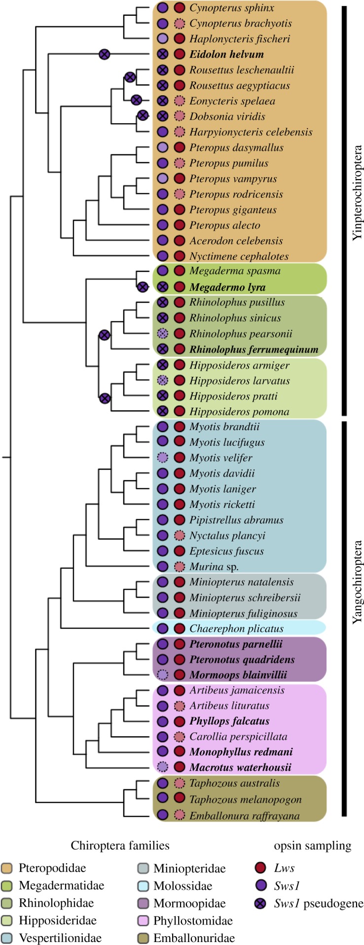 Figure 1.