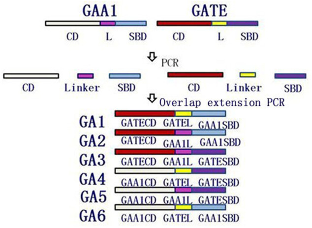 FIGURE 1