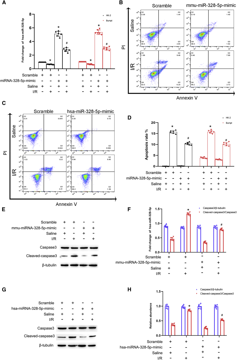 Figure 6