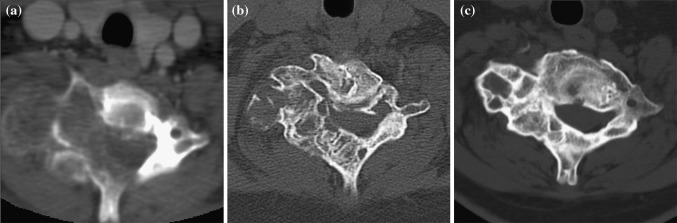 Fig. 3