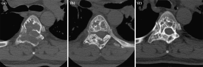 Fig. 5