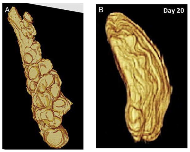 Fig. 7