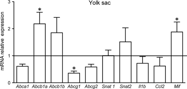 FIGURE 2