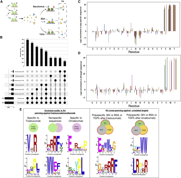 Figure 3